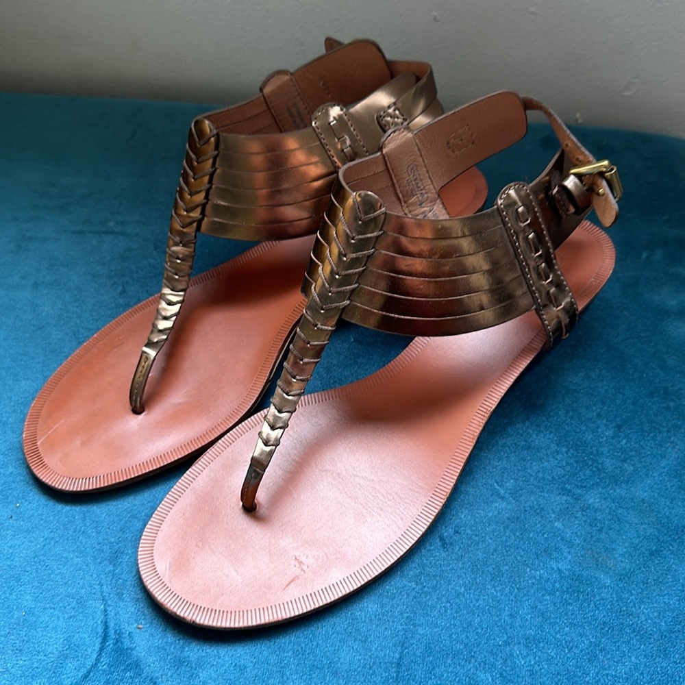Coach Strappy Chrome Wedge Sandal 9B